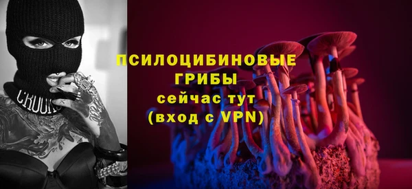 крисы Нязепетровск