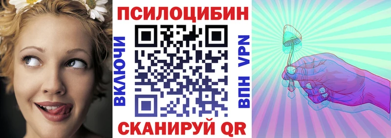 где купить наркоту  Спас-Клепики  Галлюциногенные грибы Psilocybe 